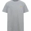 Golden Goose Tee-shirt Homme Étoile Coton Gris Doré